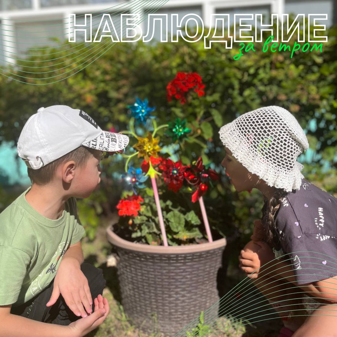 Наблюдение за ветром